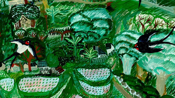 高知県香美市の山の自然とくらしをまもるために、調査し発信したい