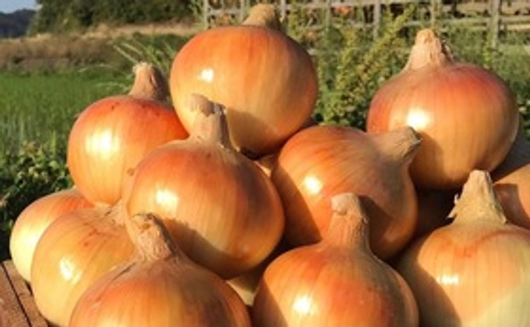 淡路島の玉ねぎ１０kgと施設利用券のセット