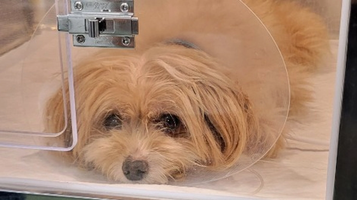 そのまま入院中・・・