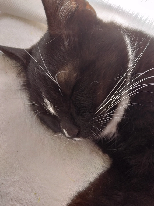 6/19はなちゃんの様子