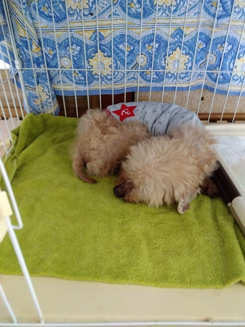 エアコンつきました