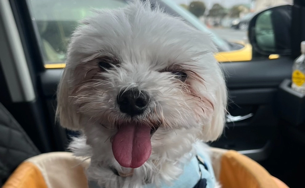 のわくんへのご支援ありがとうございます②