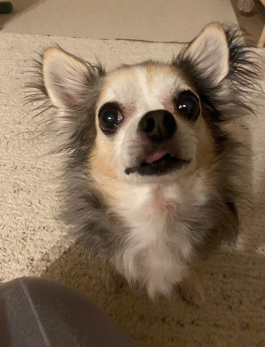 ららのクラウドファンディングの現状