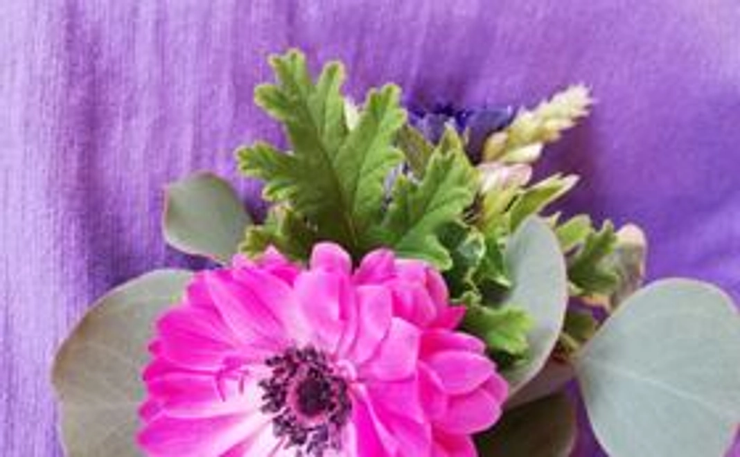 A : 応援コース（5千円）