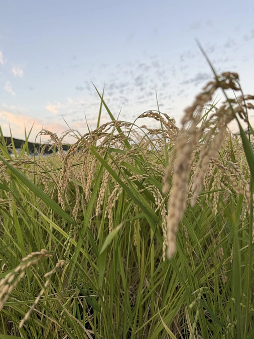 【御礼】たくさんのご支援とあたたかいメッセージ、本当にありがとうございます。