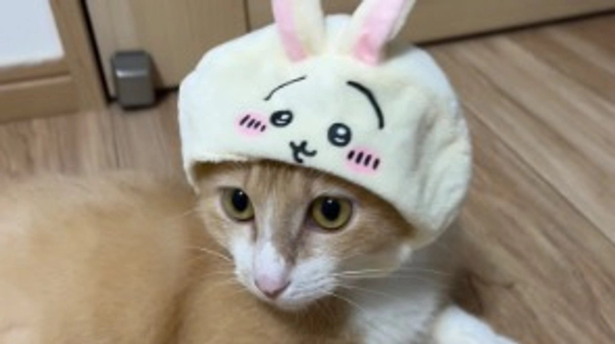 【投薬５９日目】