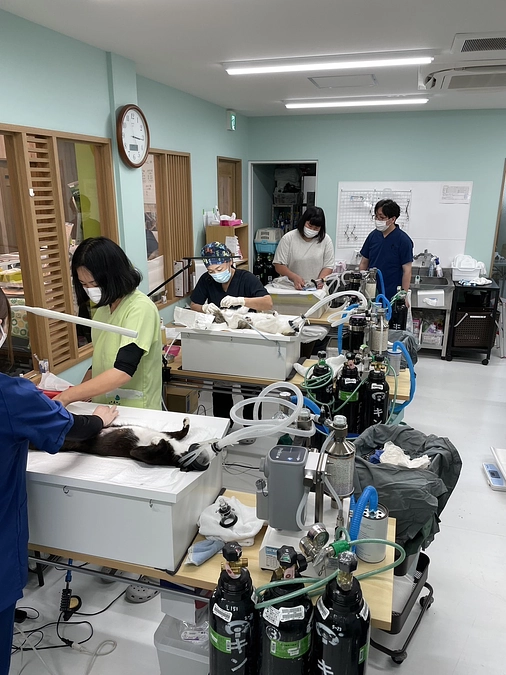 ９月開院　スタートに向けて研修に行って来ました