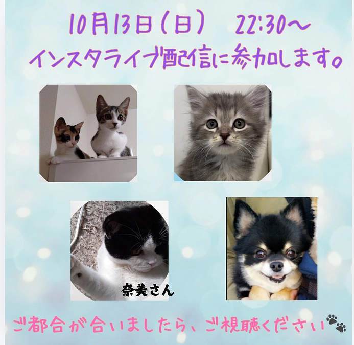 Instagramのライブ配信に参加させていただきます。