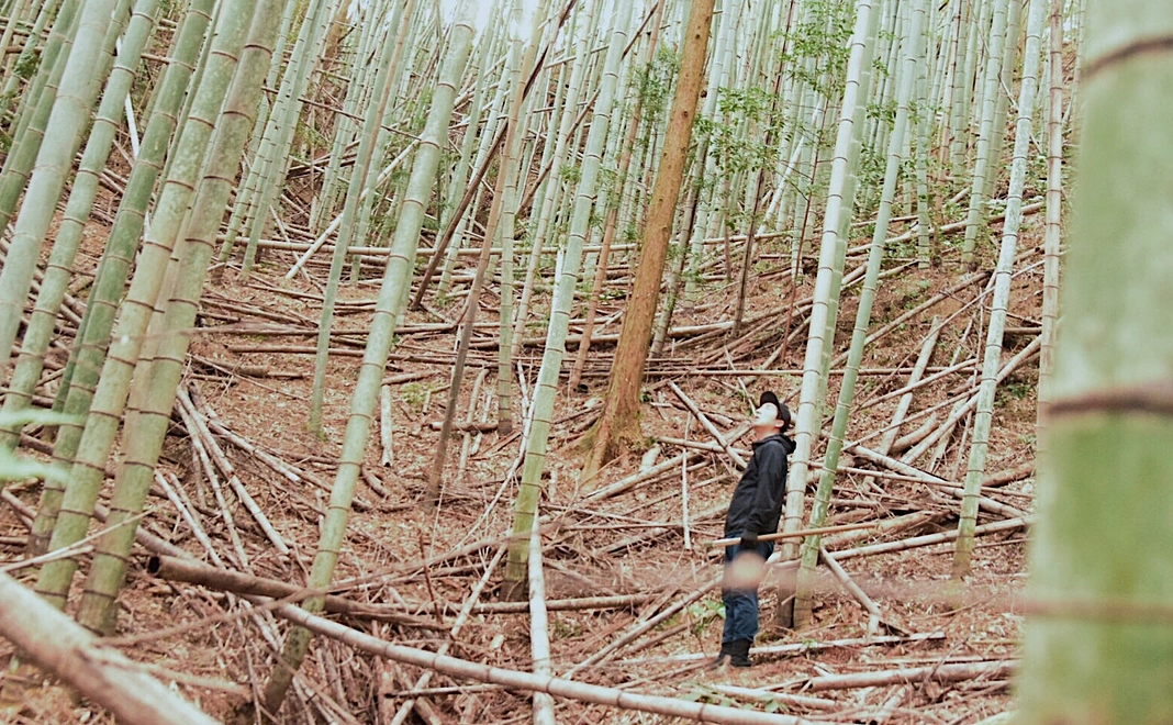ひたすら応援！5000円プラン
