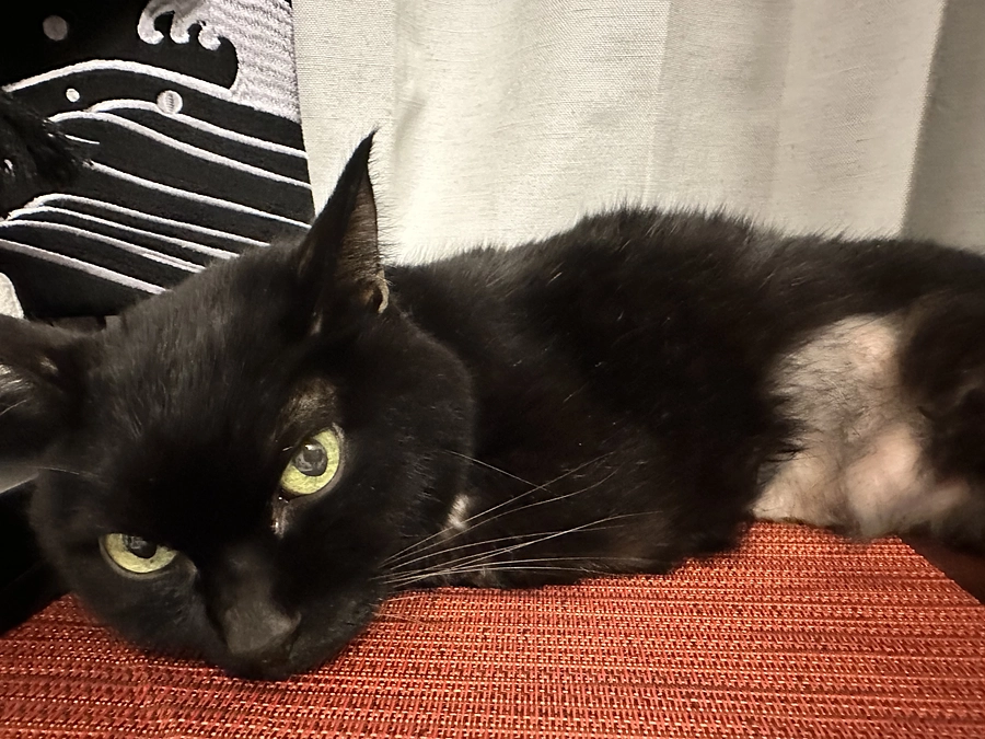 帰ってきました！