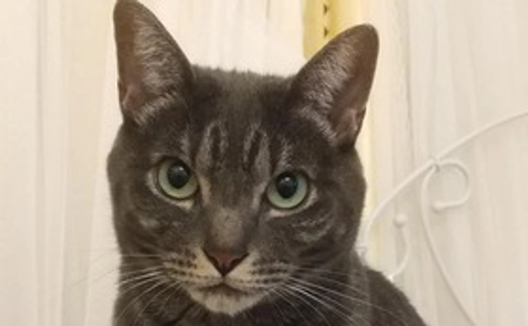 【リターン不要の方向け】3,000円コース