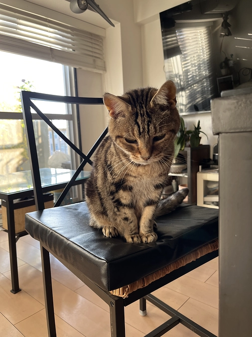 引き続きご支援お願いします