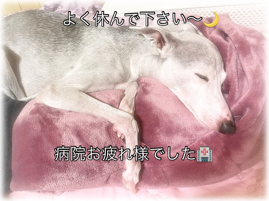 血液検査受けて参りました🏥