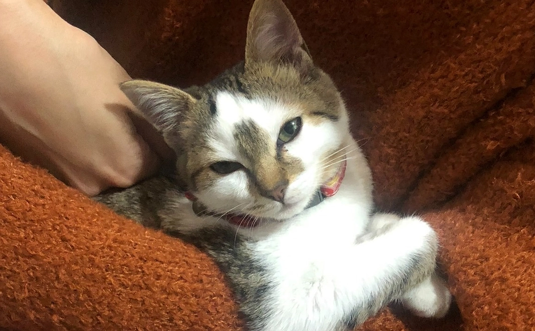 リターン不要［10,000円］