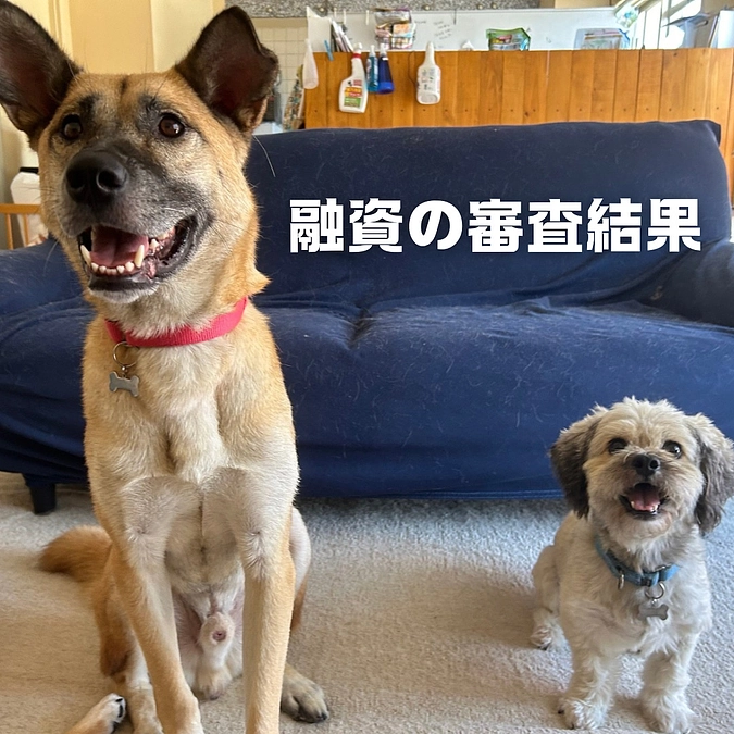 融資の審査結果について