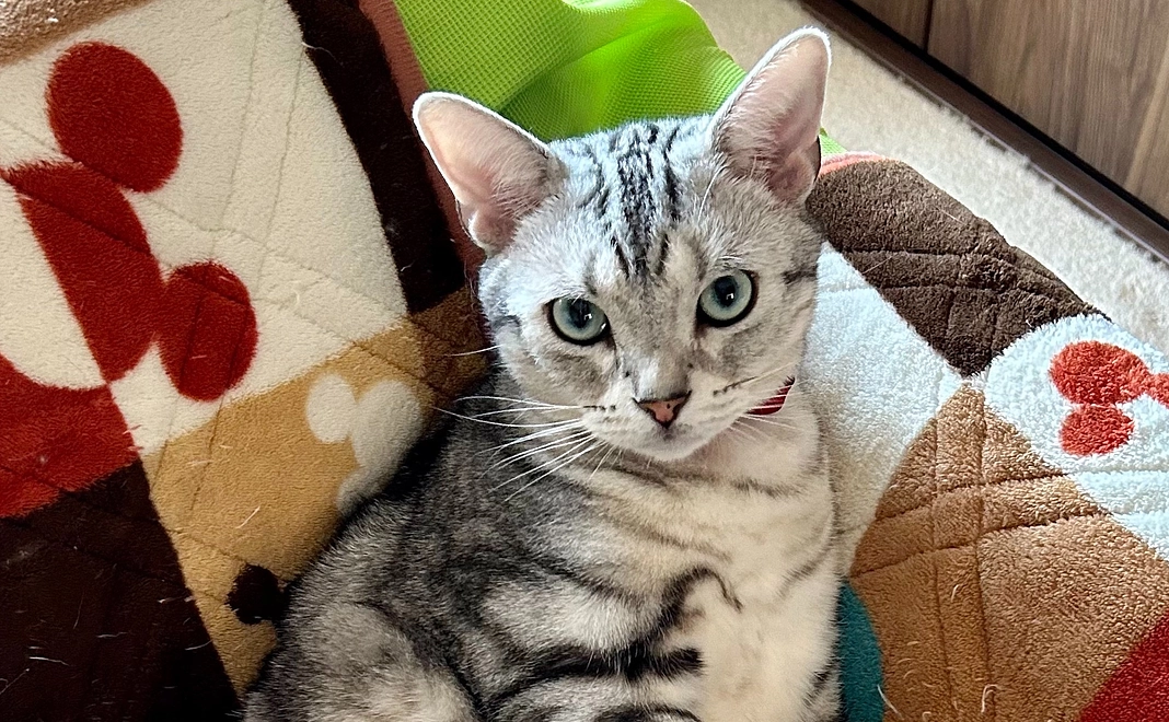 がんばれ!!琉依! 1