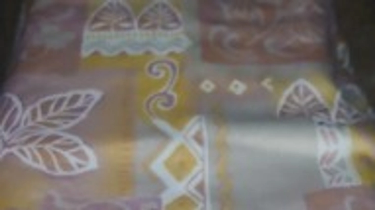 3月28日 不妊手術明細