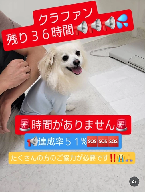 【残り３６時間】達成率５１％