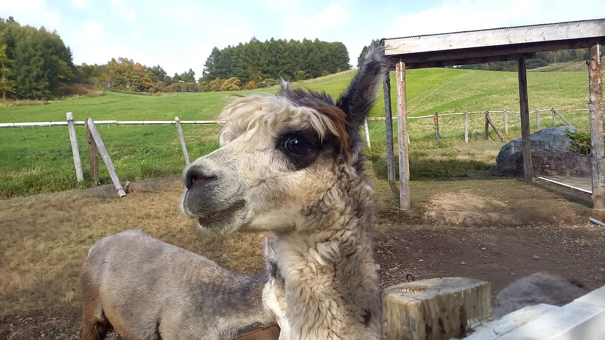 第１目標金額達成のお礼とネクストゴールへの挑戦について