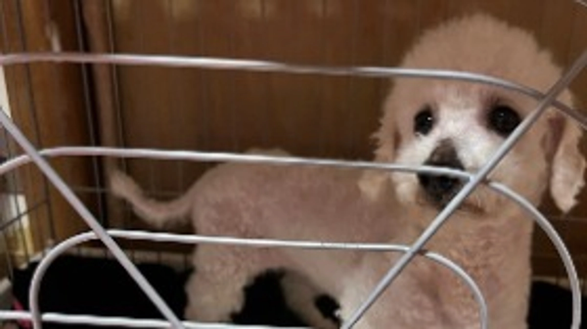 【ご支援者数100名！】残り7日駆け抜けます