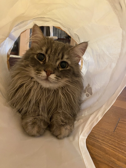 8/7 リターンの送付が完了しました