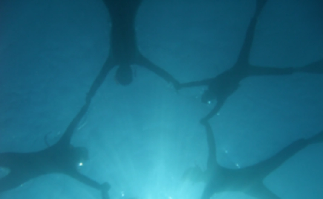 石垣島に遊びに来て頂いた際に、マリンスポーツを無料で体験！