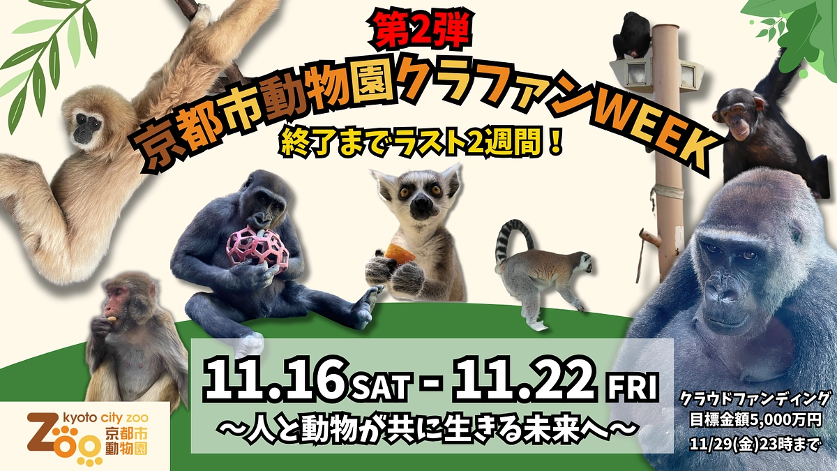 【11/16〜11/22 】終了まで残り2週間！ラストスパートへつなぐ「クラファンWEEK」告知！