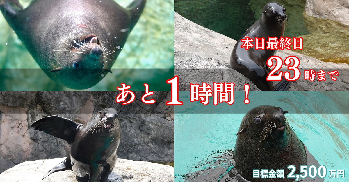 【終了まであと1時間】職員から皆様へメッセージ動画