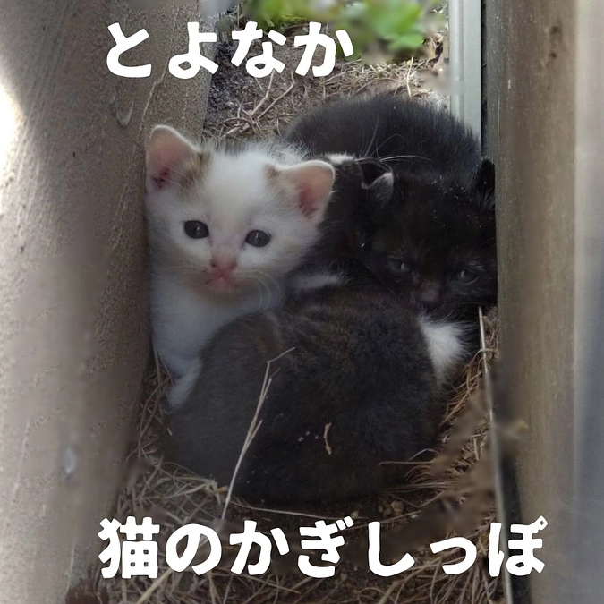 プロジェクト スタートしました