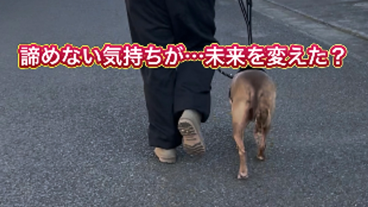 幸せになろうと諦めない気持ち