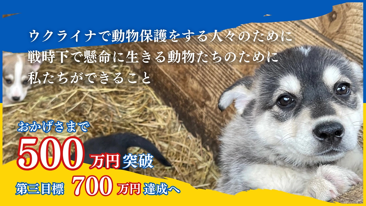 遅くなりましたが、第二目標達成へのお礼と第三目標につきまして