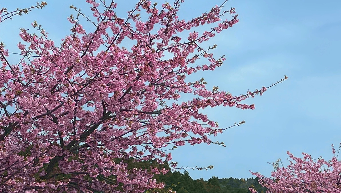 能登半島復興へ向けて