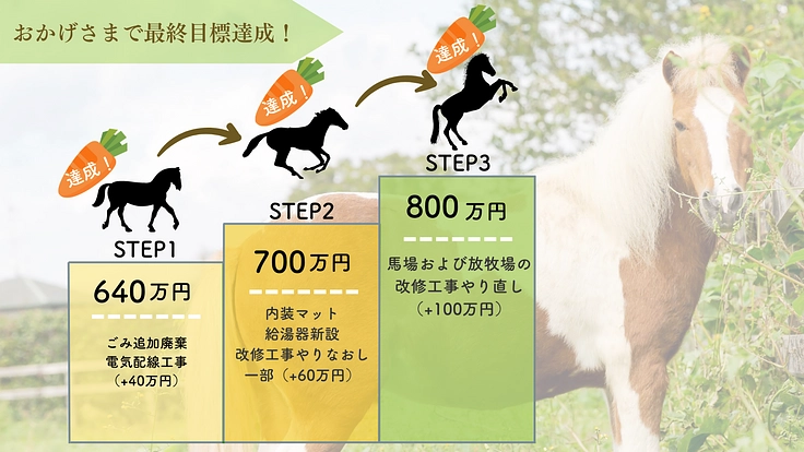 馬のための場所を守りたい。心身のケアが必要な馬達にも幸せな生涯を（HorseSpace紡 2024/02/07 公開） - クラウドファンディング  READYFOR