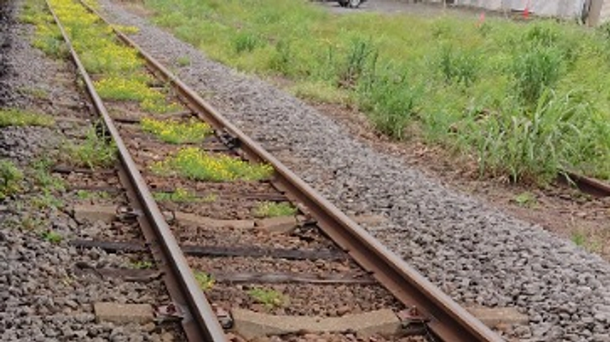 二海郡八雲町にて