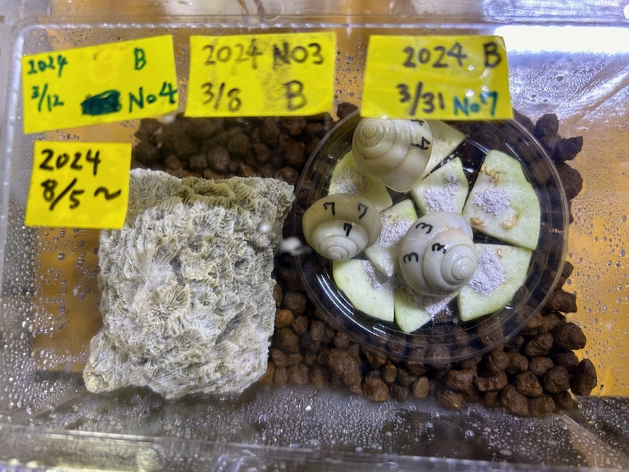 個体識別あれこれ