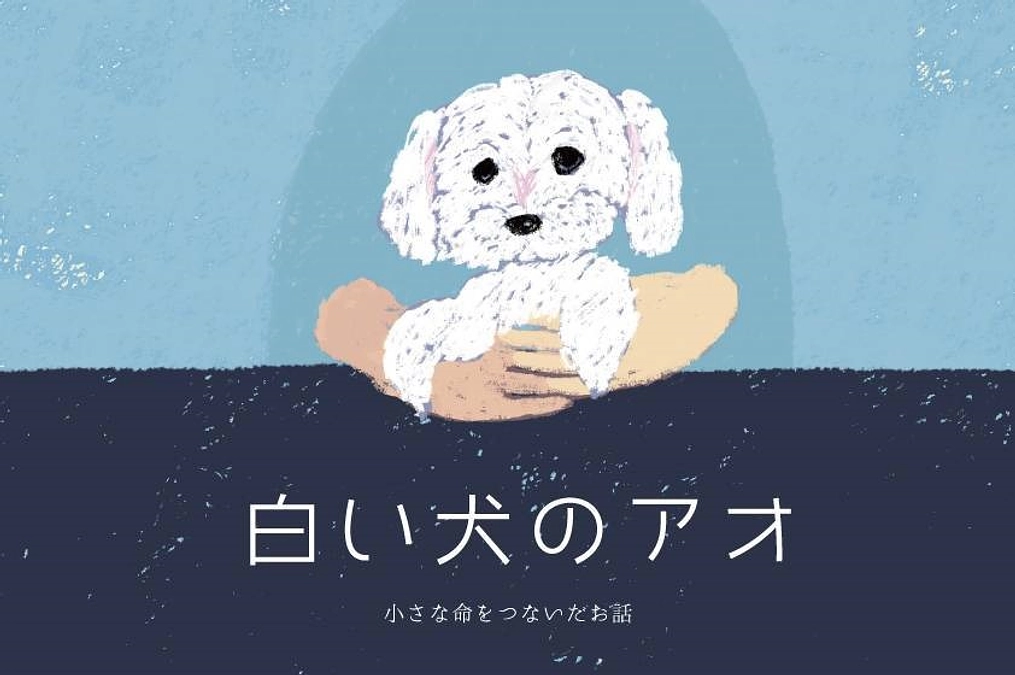 【オリジナル絵本「白い犬のアオ」】のリターンご紹介