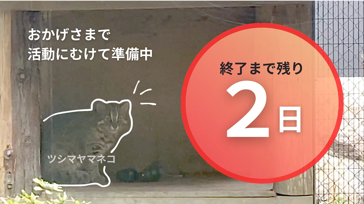 【残り2日】ツシマヤマネコが暮らす島