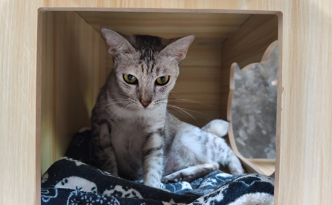 応援ありがとうございます!