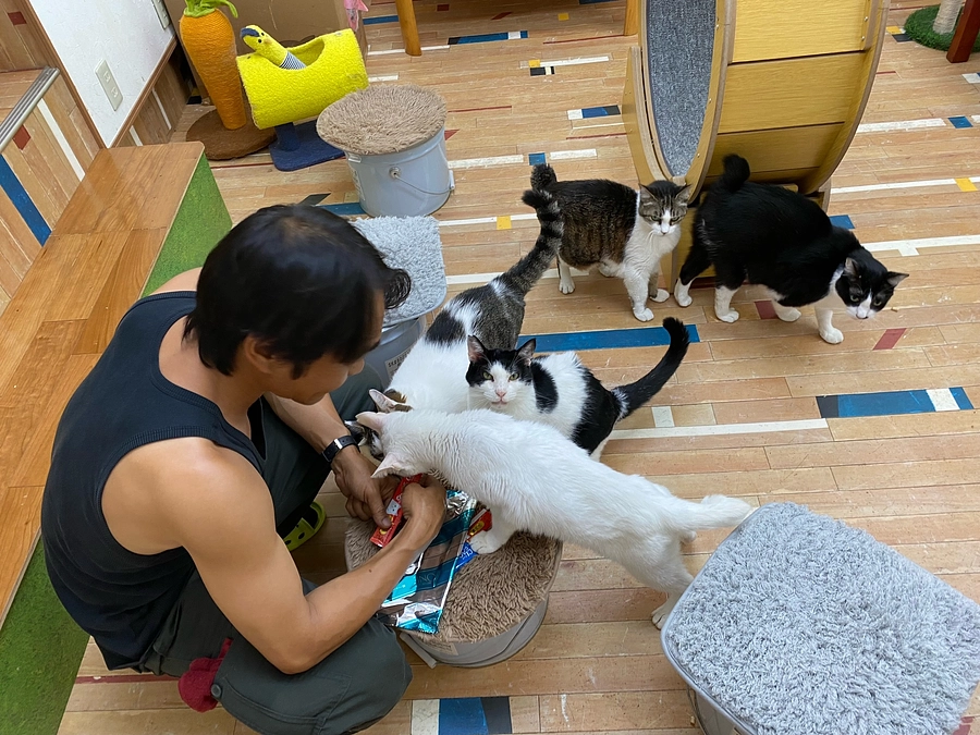 【ご報告とお願い】認定NPO法人として新たなスタートを切りました！応援をよろしくお願いいたします！