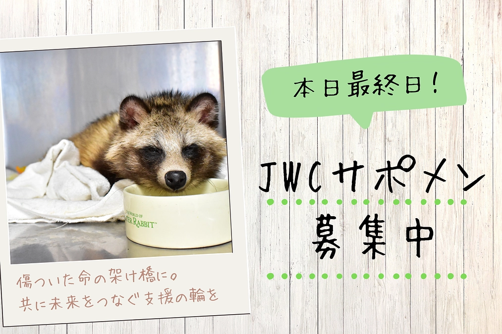 【本日最終日】JWCサポメン23:59まで募集中！！