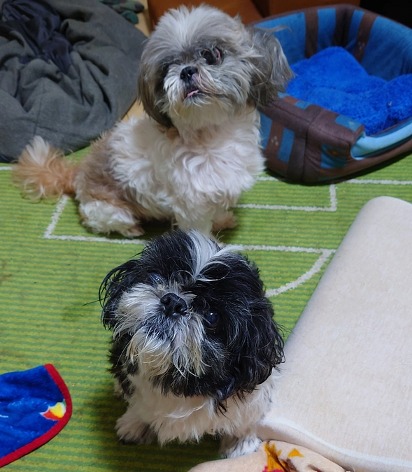 本日もご支援頂きました。