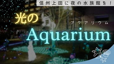 光のaquarium　上田の街を元気にする のトップ画像