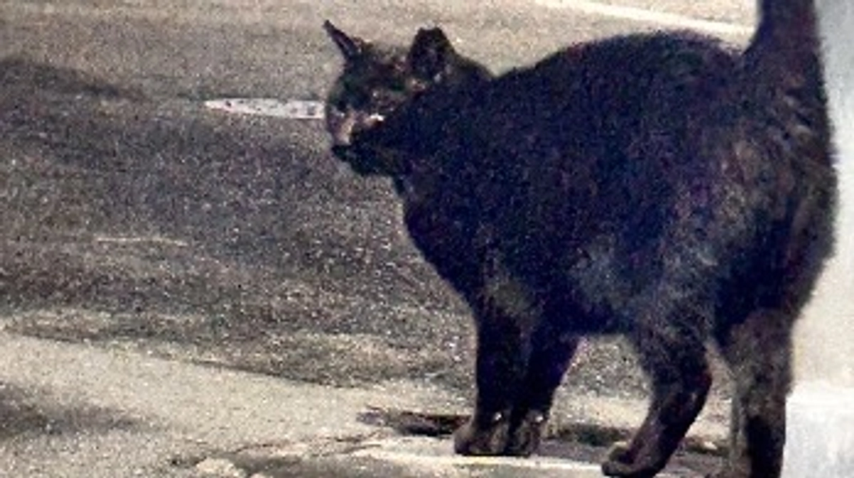 母ちゃんとの思い出