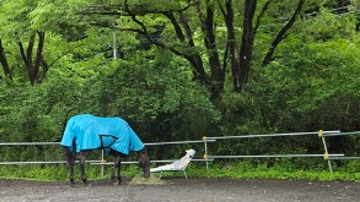 リターン【1Dayリトリート】に来ていただきました！