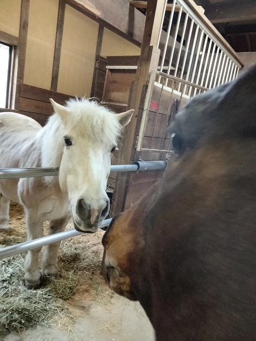 移転後2日目のみんな