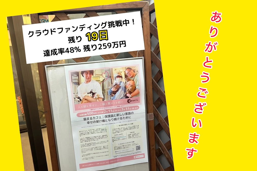 250万円目前！＆3/11大震災を振り返り(3/11あと残り19日)