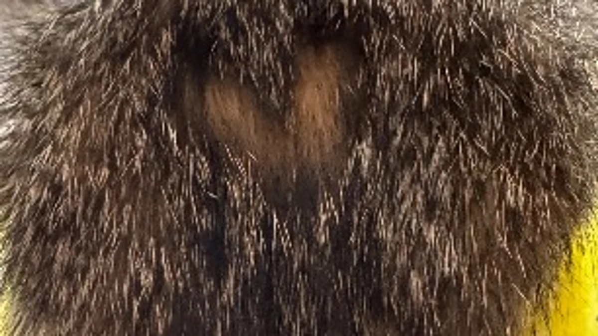 治療中の子からのメッセージ