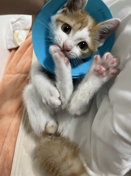 残り時間１時間を切りました。