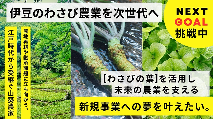 【伊豆わさびプロジェクト】わさび葉の活用で伝統農業を守りたい！