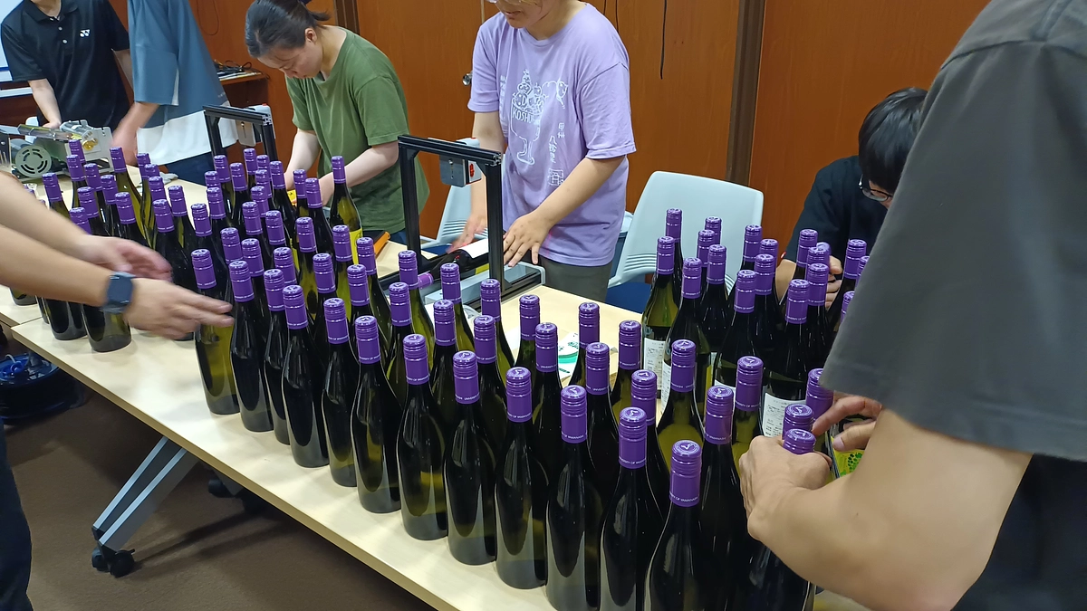 「シン・山梨大学ワイン2024」ラベル貼り作業を
